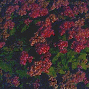 动漫插小穴视频
